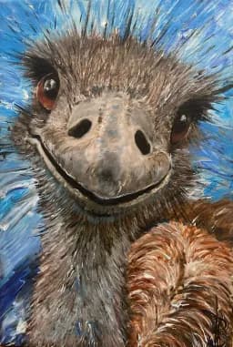 Curious Ostrich