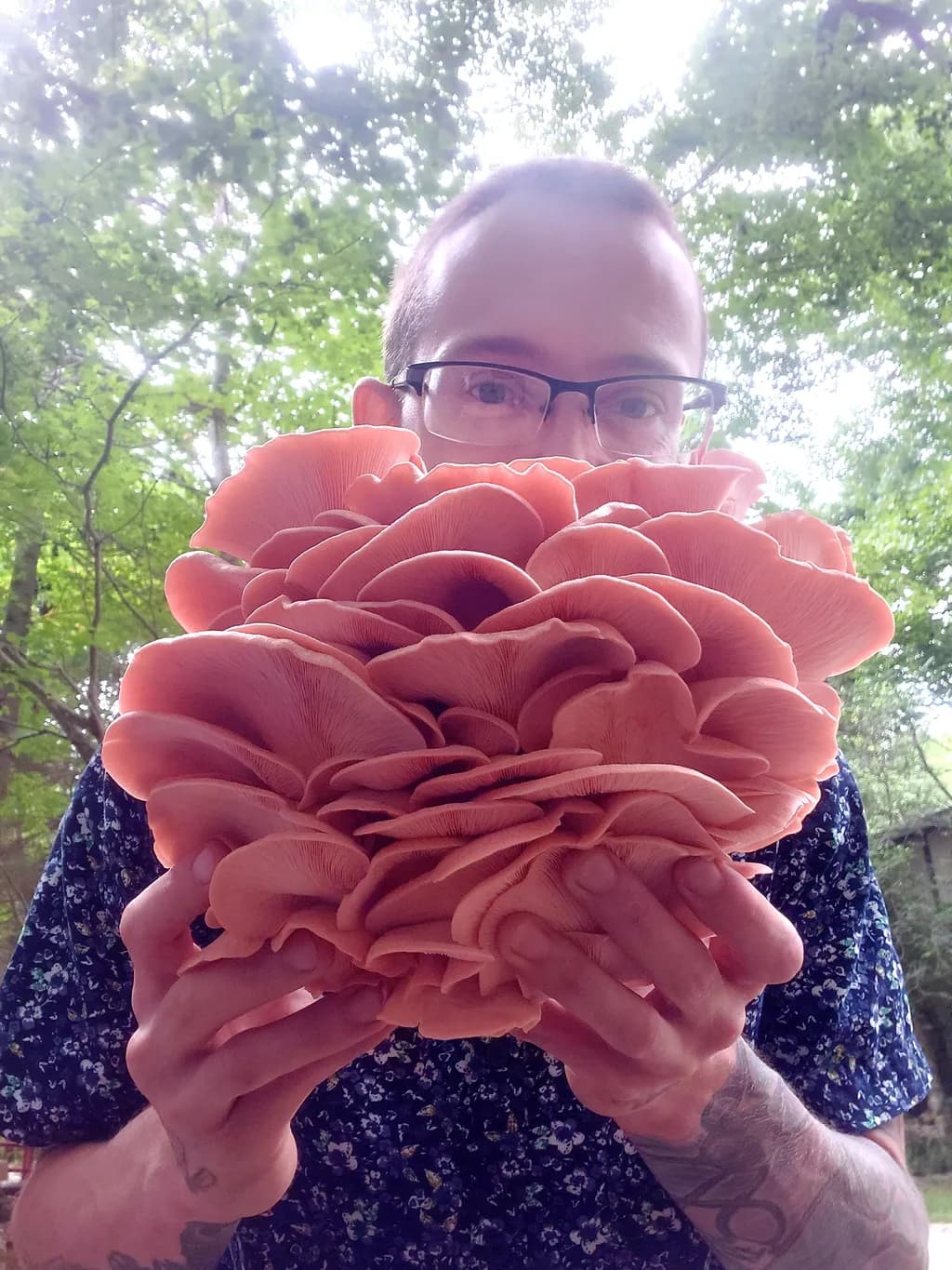 Mushroom Embrace
