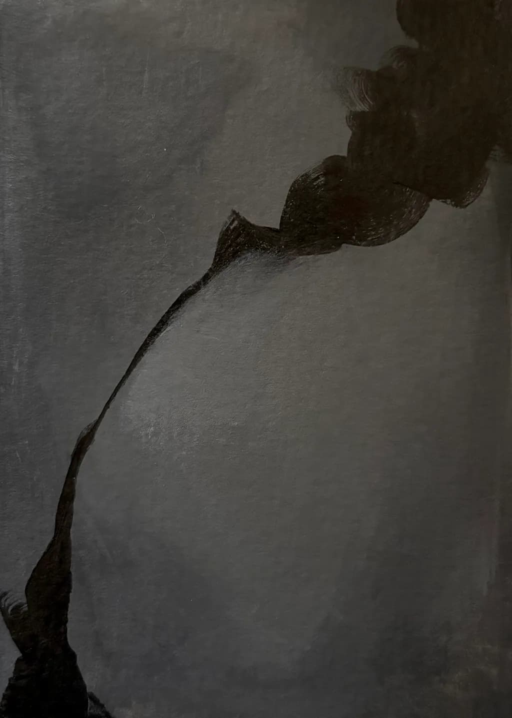 Monochrome Fluidity