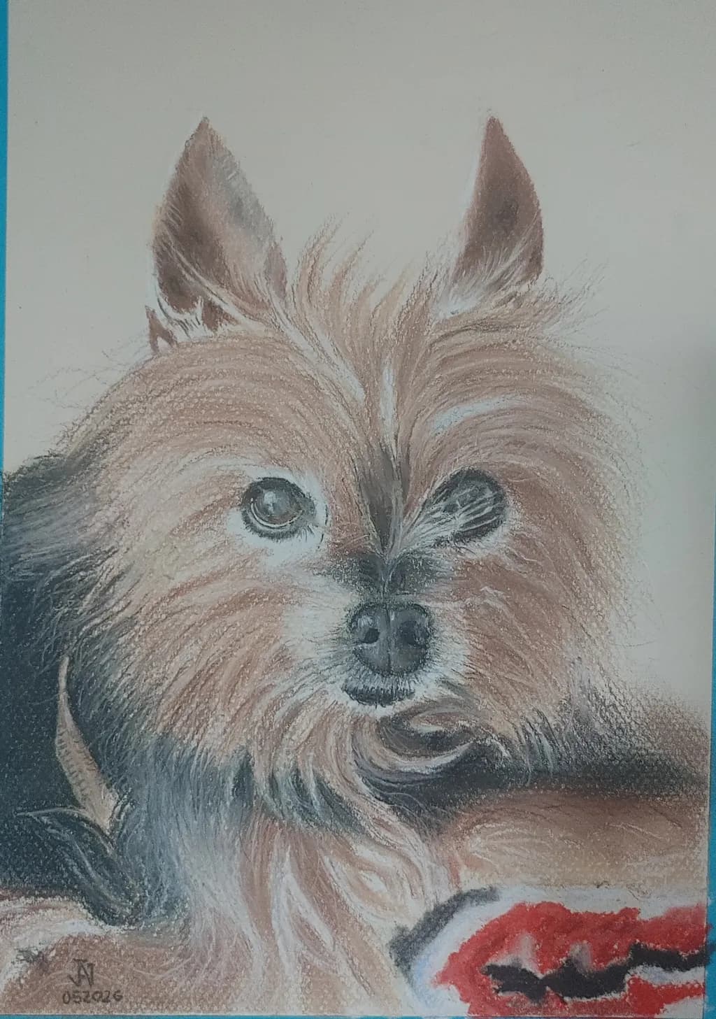 Alert Pup Portrait