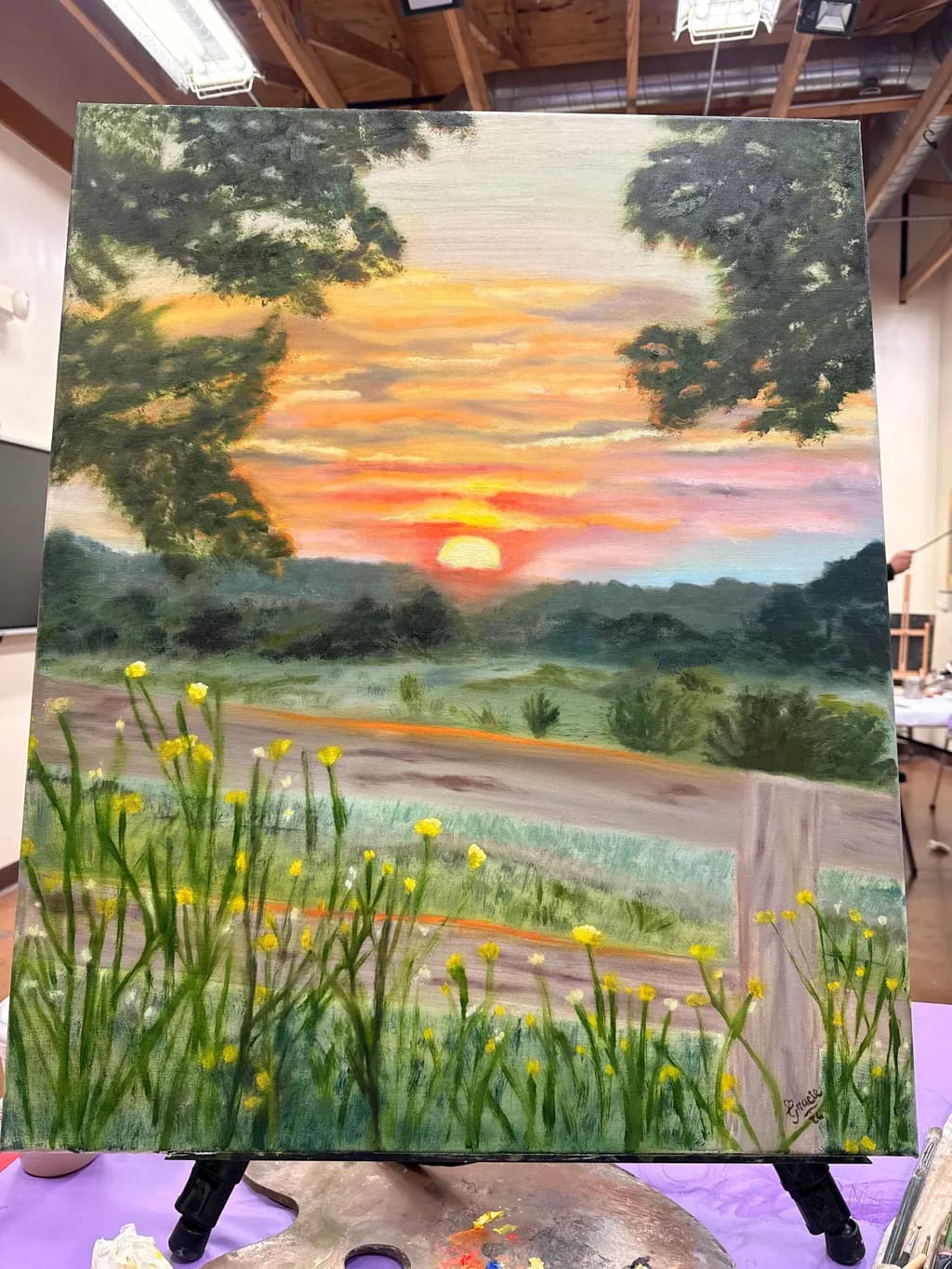 Sunset Meadow