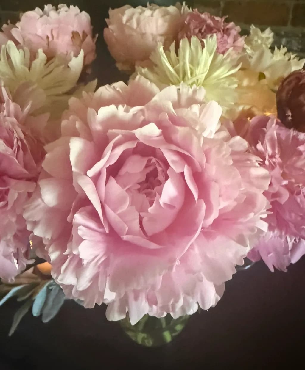 Blushing Peonies
