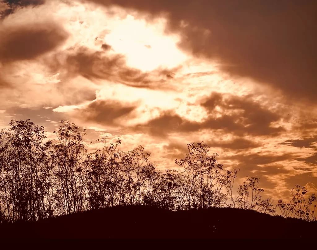 Copper Horizon