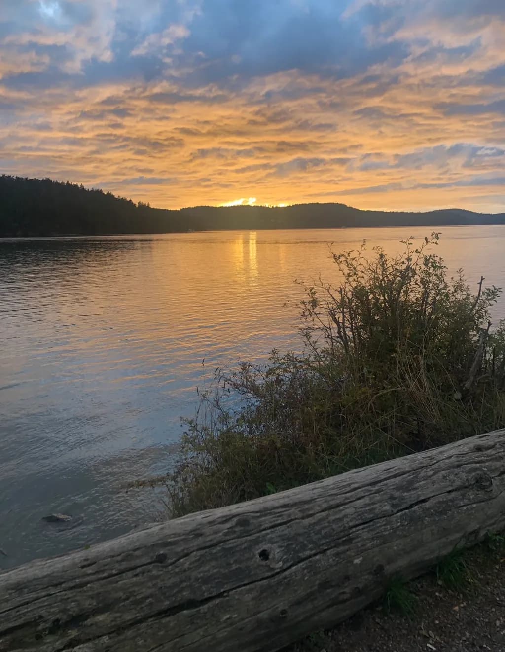 Golden Horizon Reflection