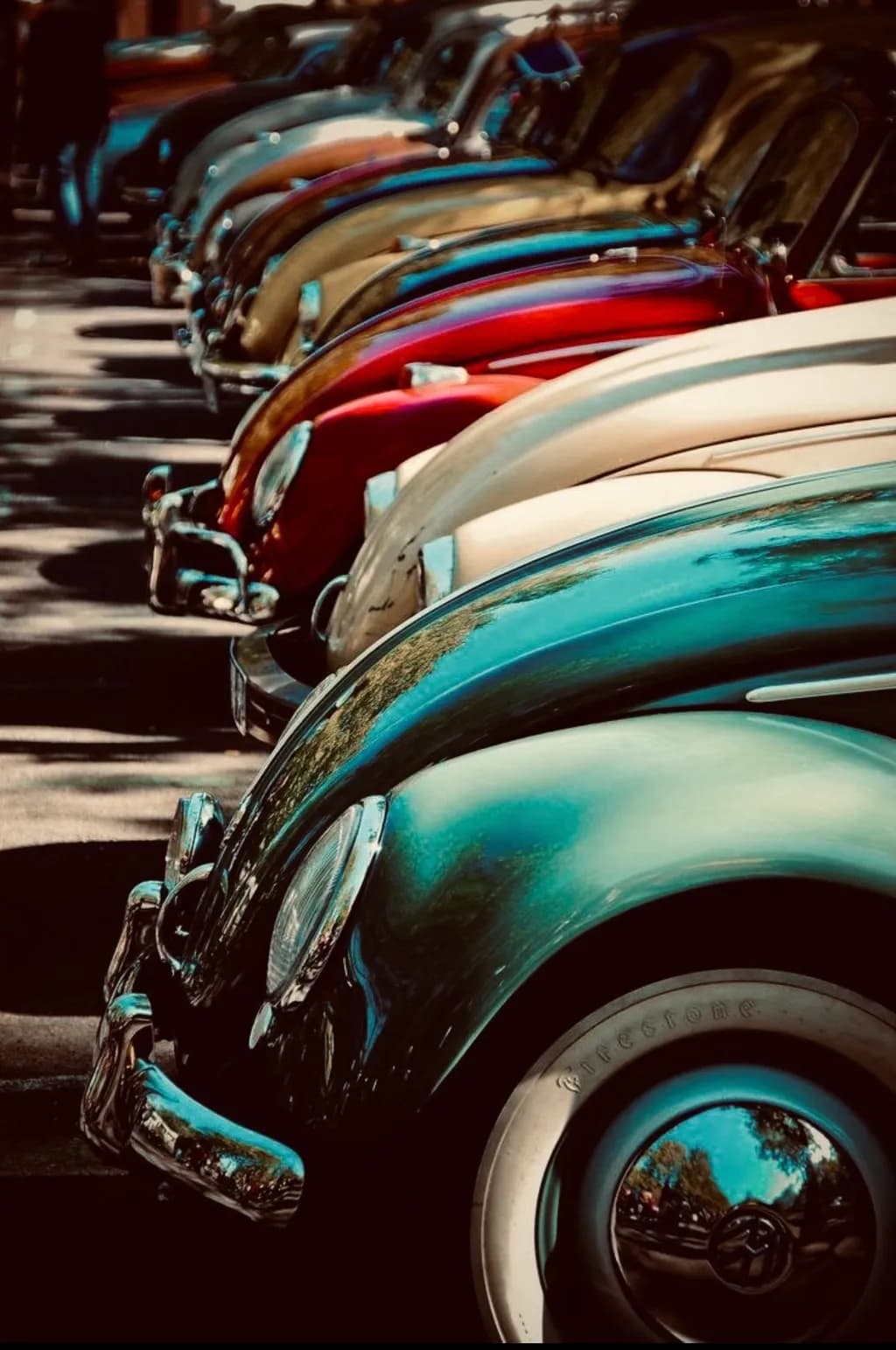 Classic Beetle Lineup