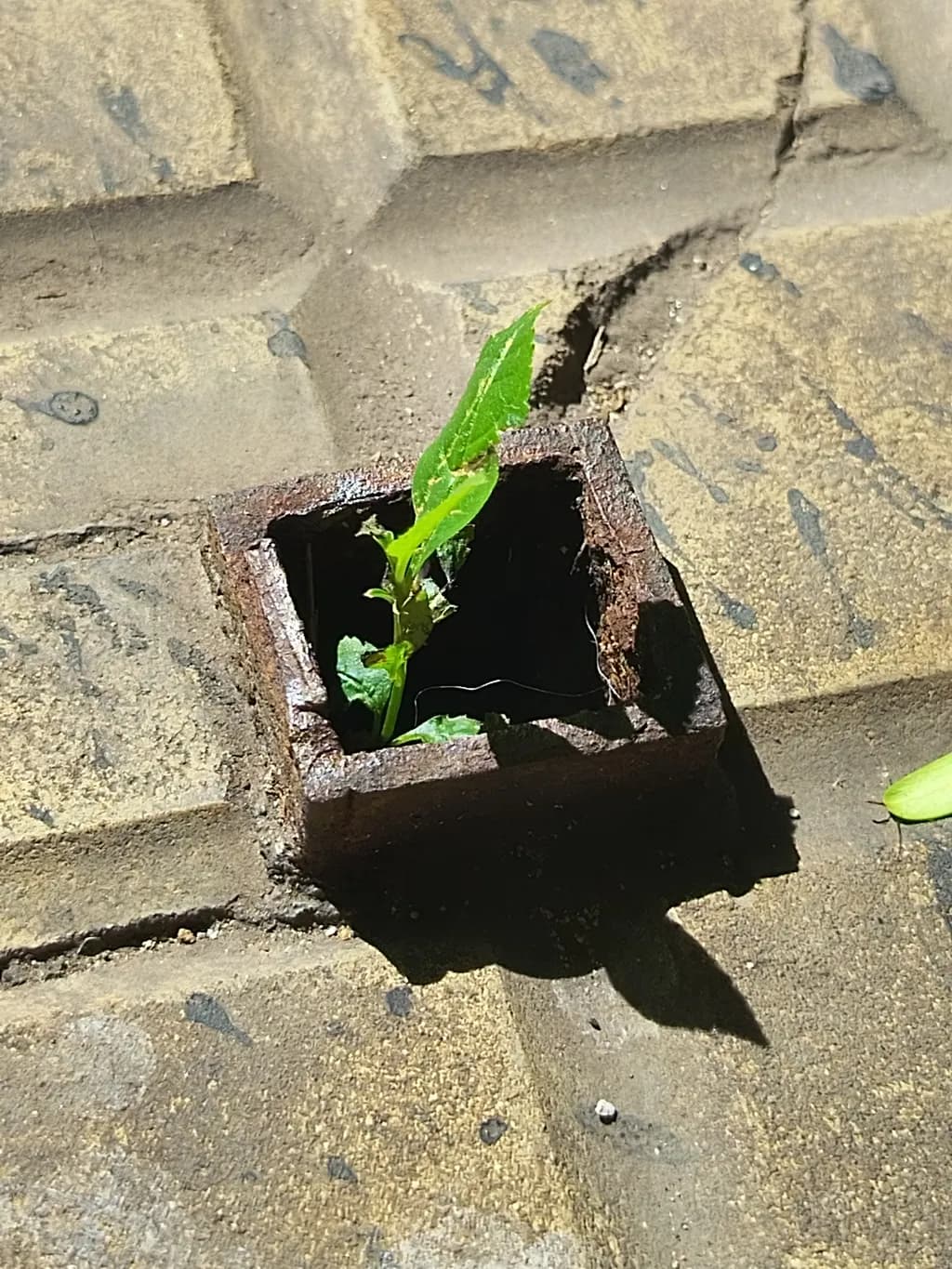 Urban Resilience