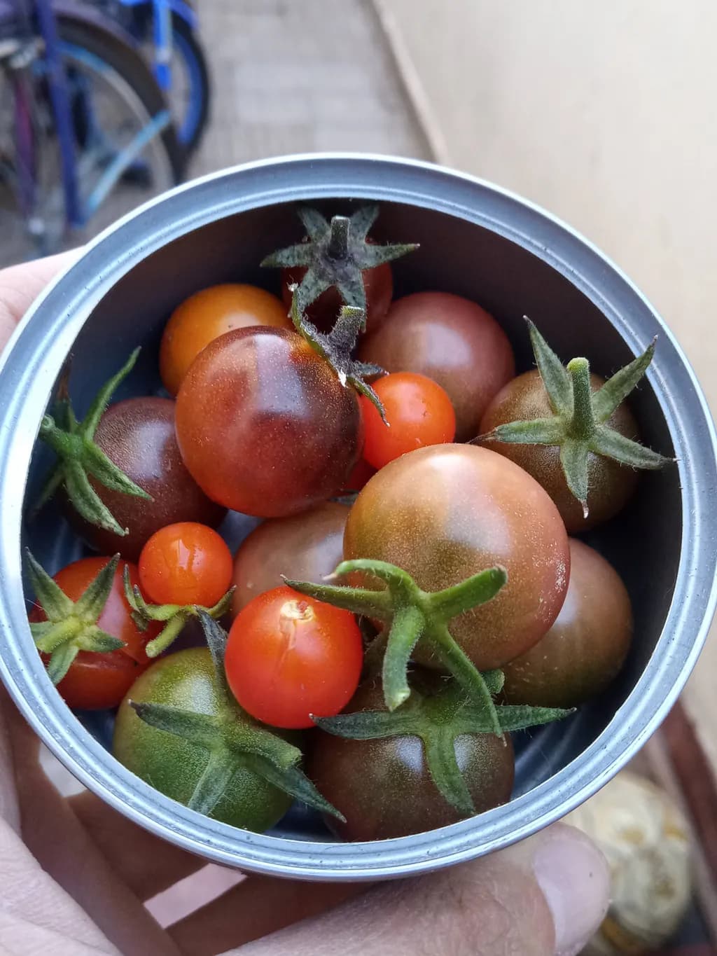 Handpicked Harvest