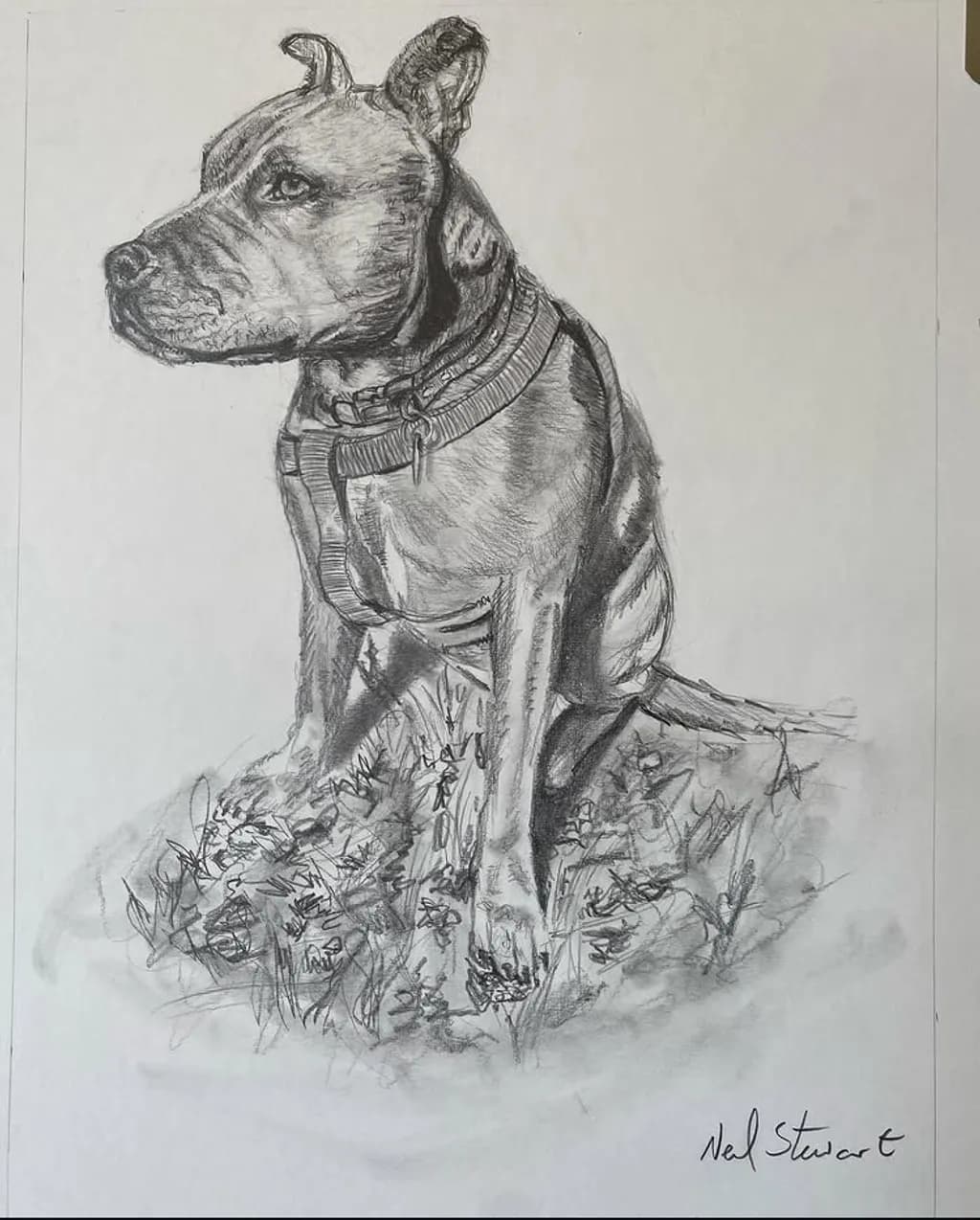 Loyal Companion