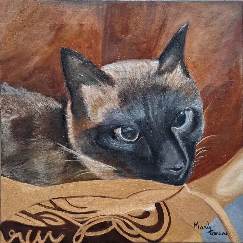 Siamese Cat Closeup