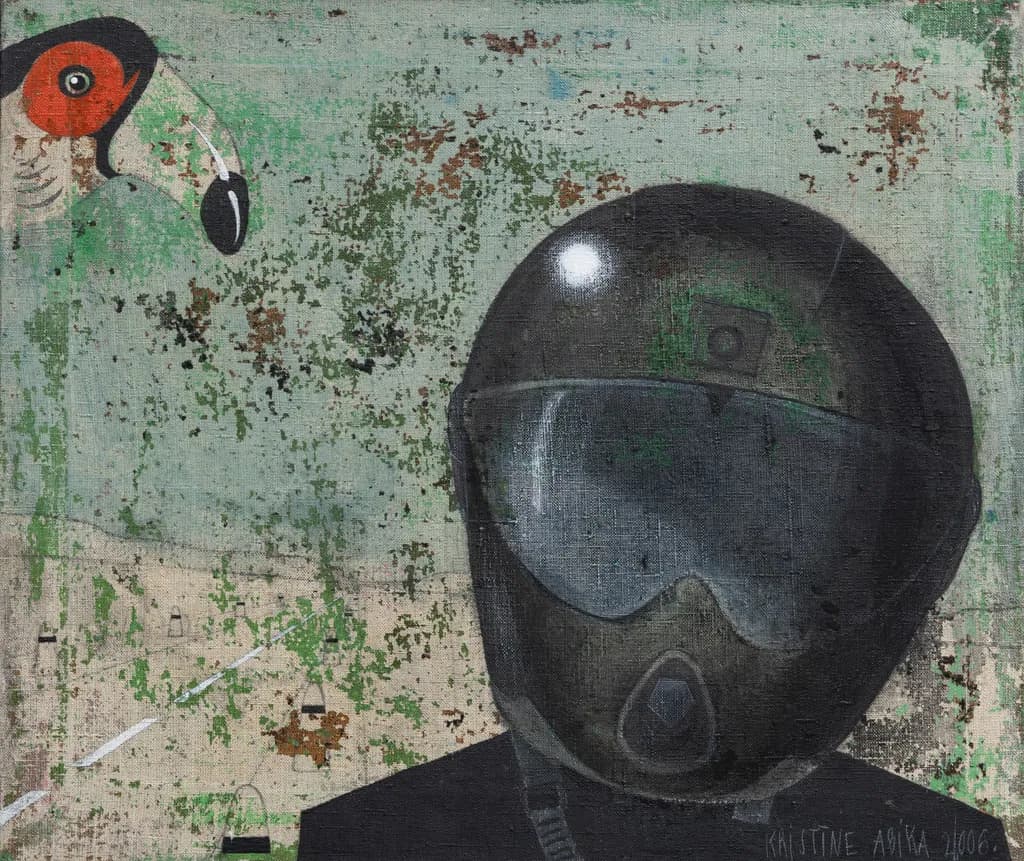 Helmet and Bird