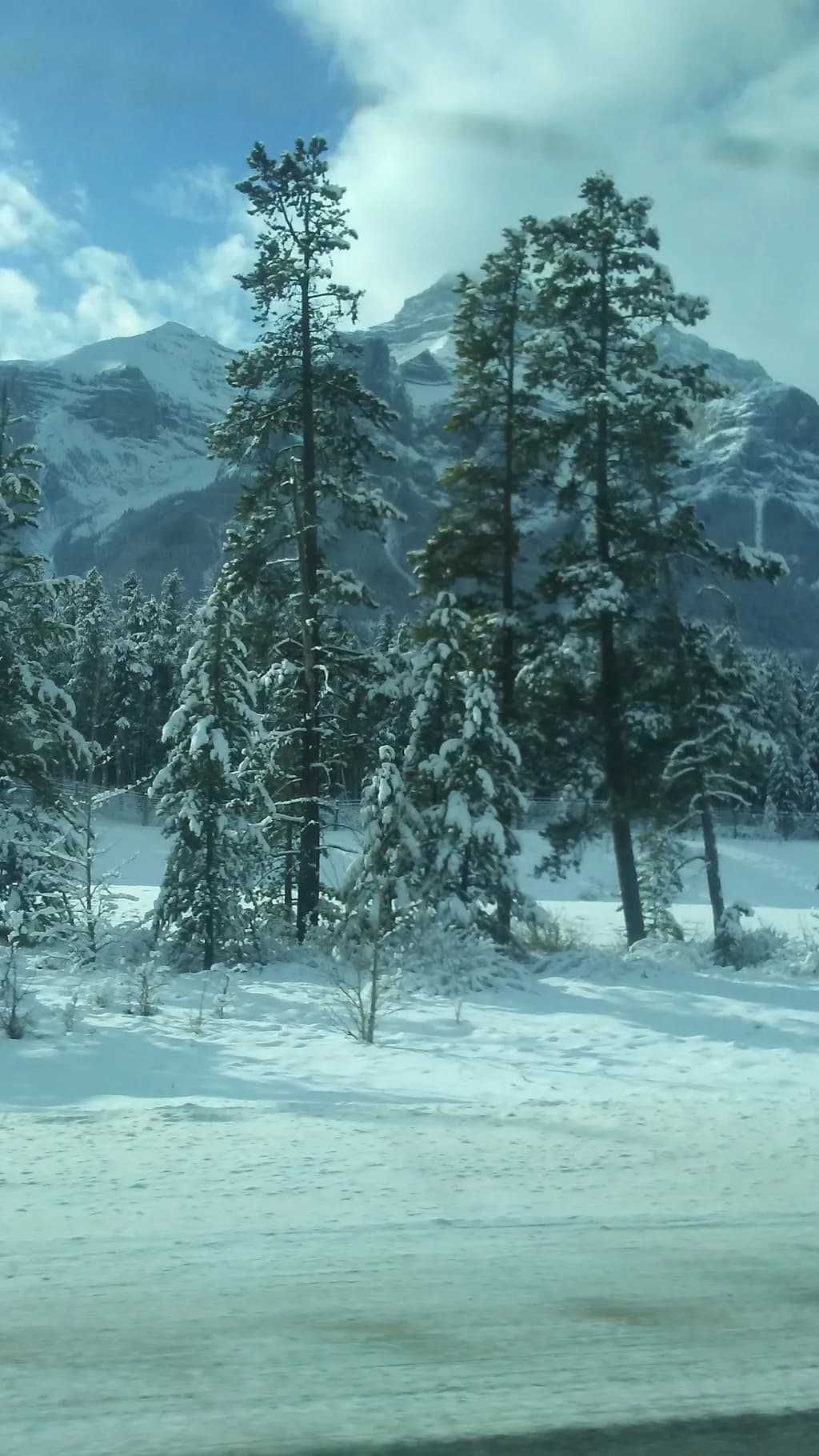 Winter Serenity