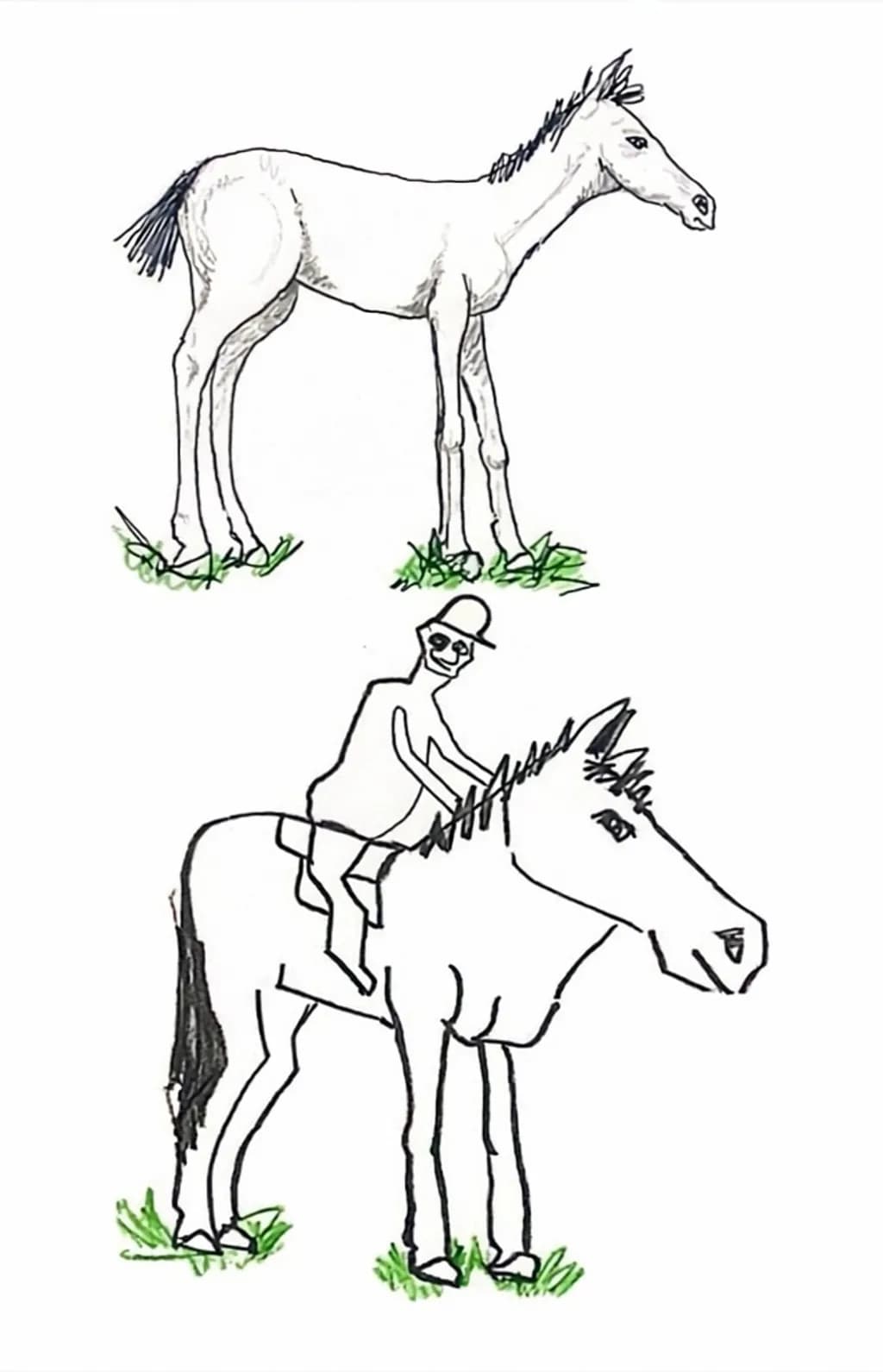 Horse and Rider Sketch