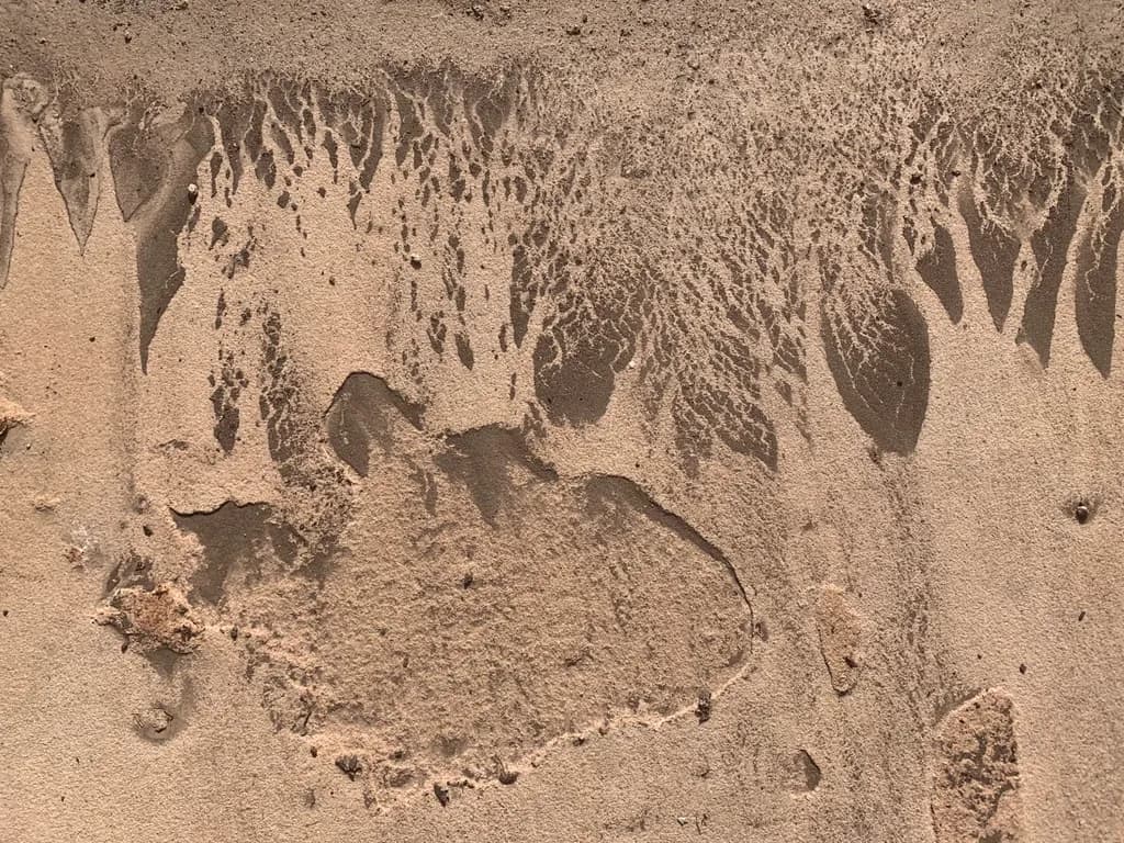 Desert Erosion Patterns