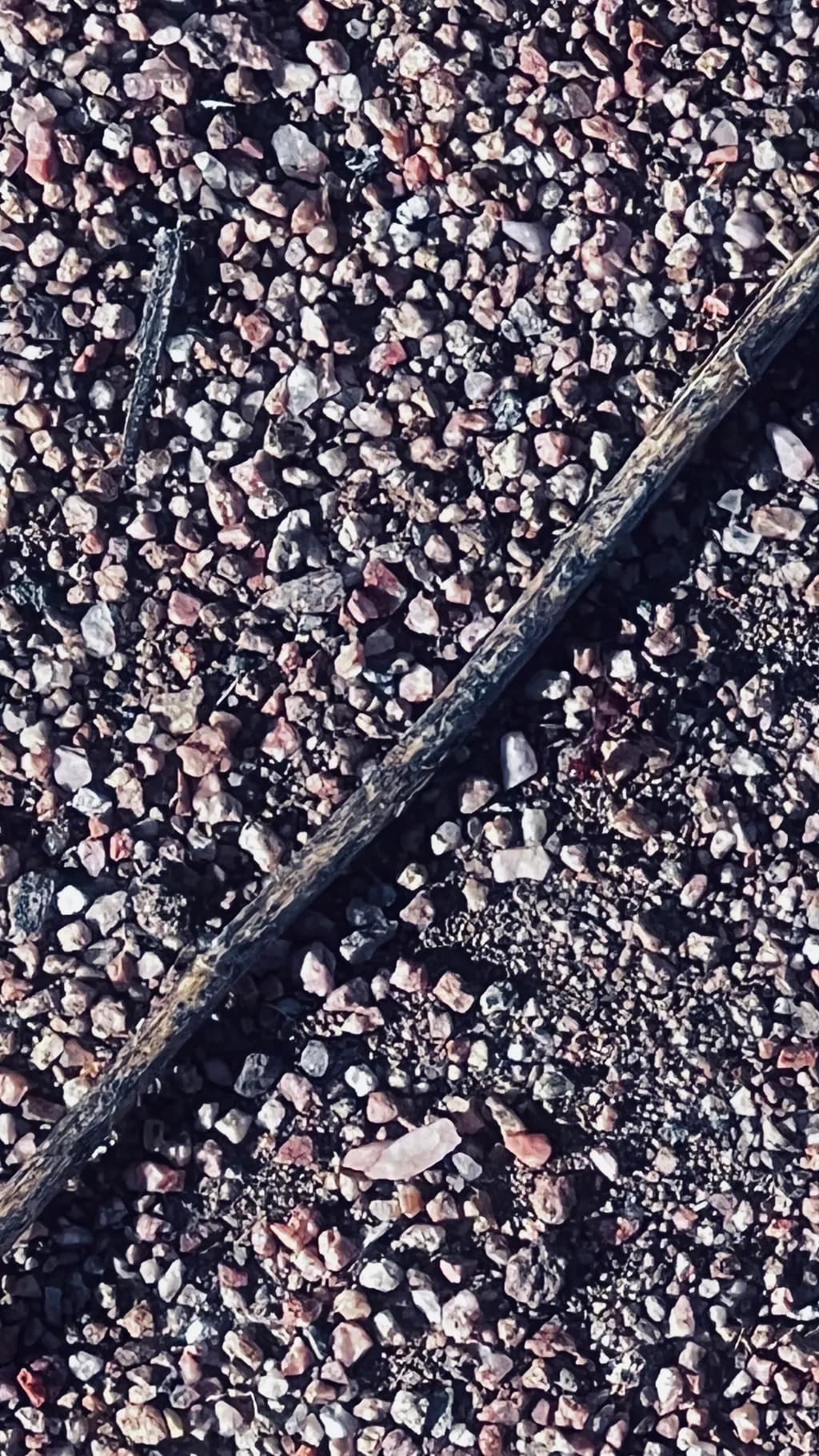 Rustic Groundscape