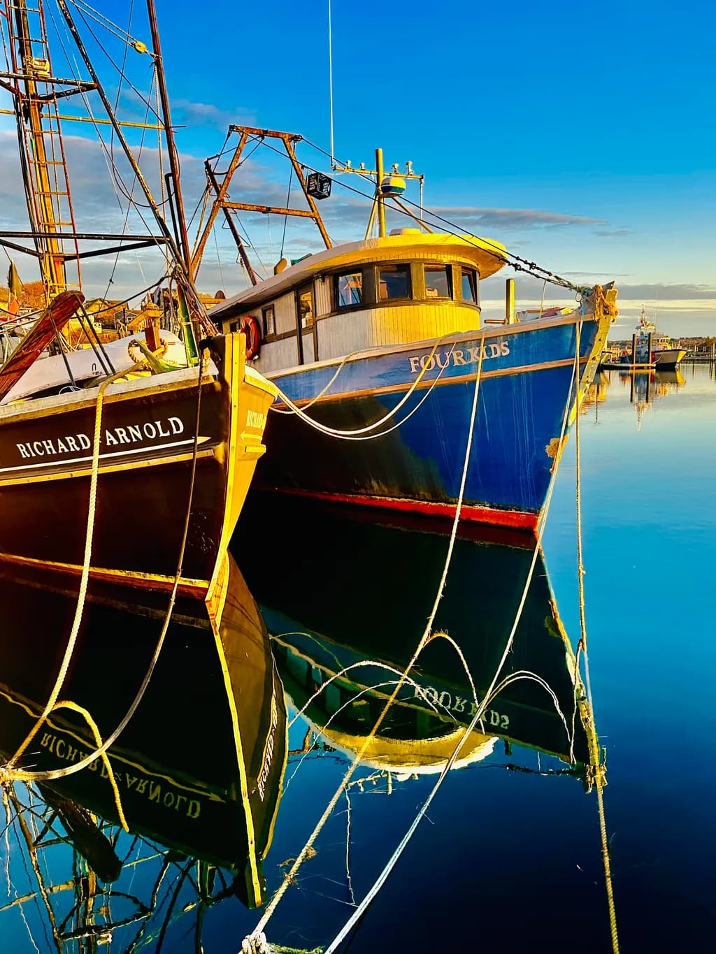 Harbor Reflections