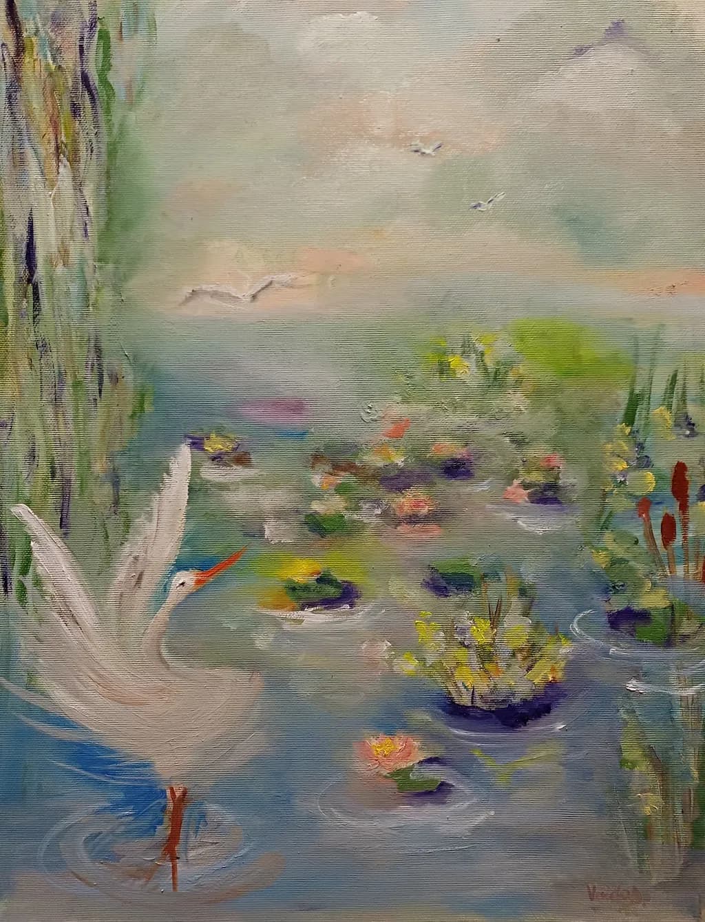 Water Lily Pond