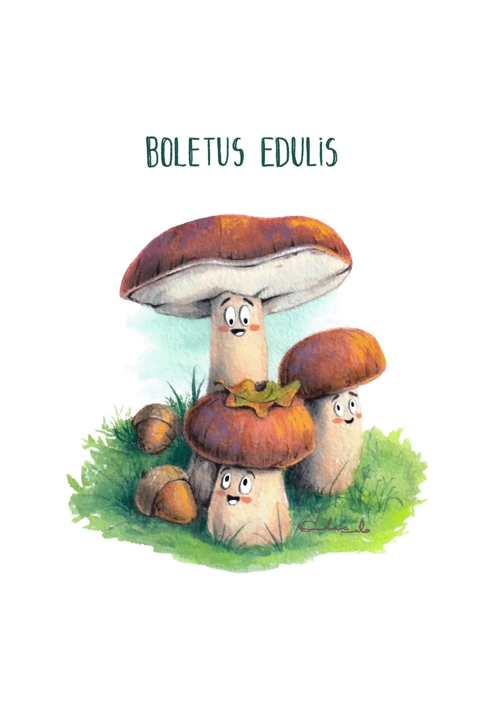 Boletus Edulis, The Quiet Strength