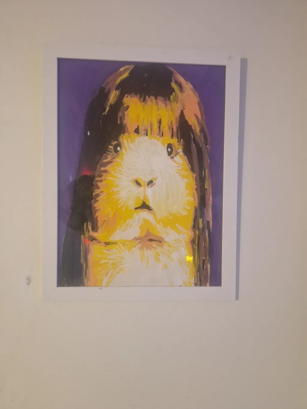 Guinea Pig Portrait