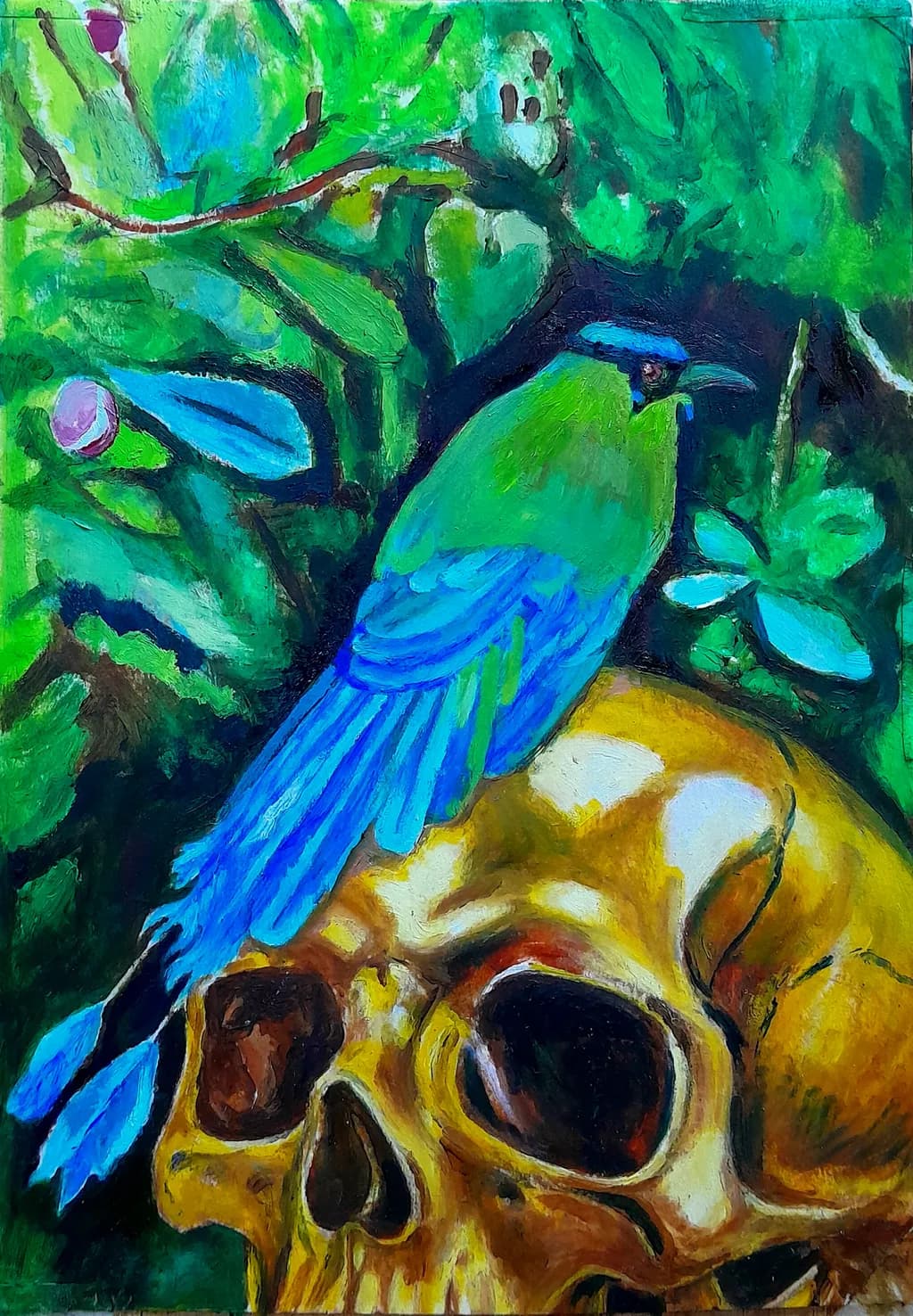 Tropical Harmony