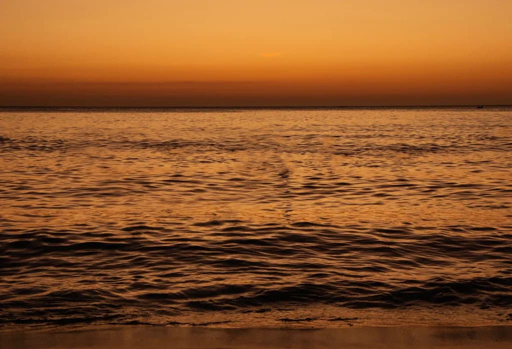 Golden Horizon