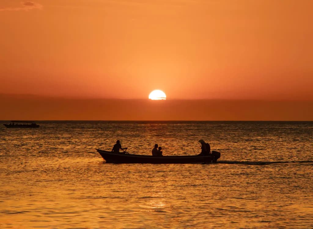 Sunset Voyage