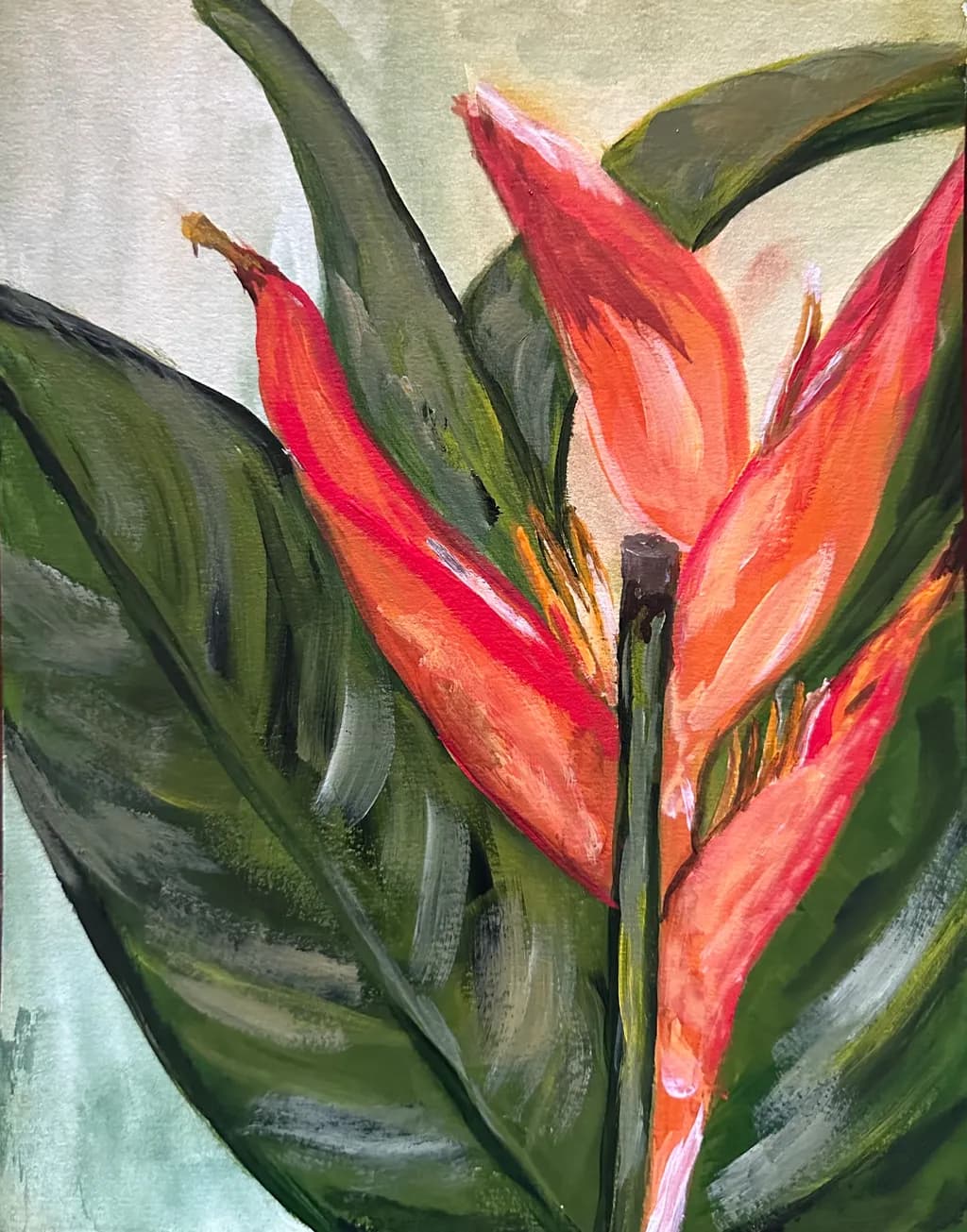 Tropical Burst