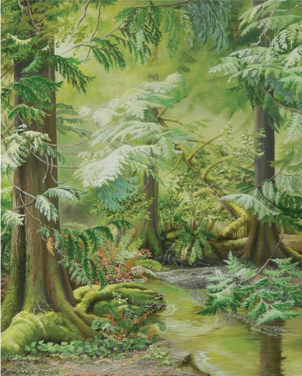 Marilyn's Forest Creek
