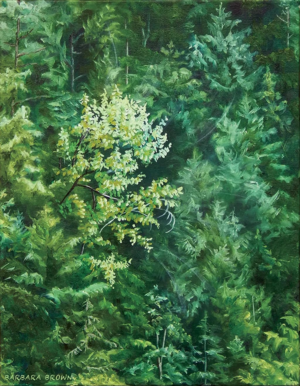 Cottonwood Spray