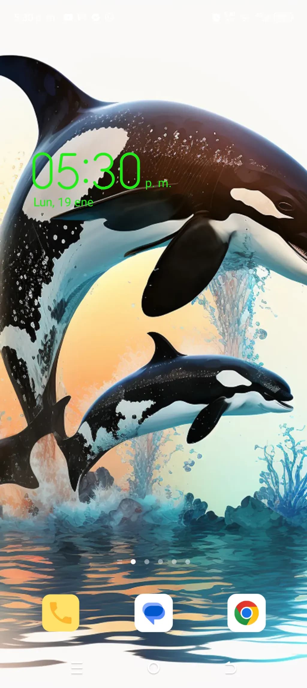 Orca Dance