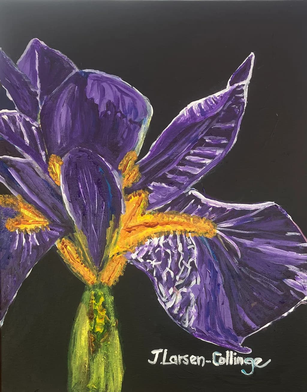 Iris Contrast