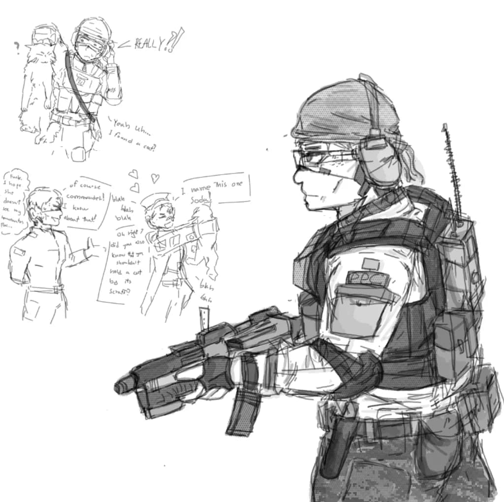 Cat Recon
