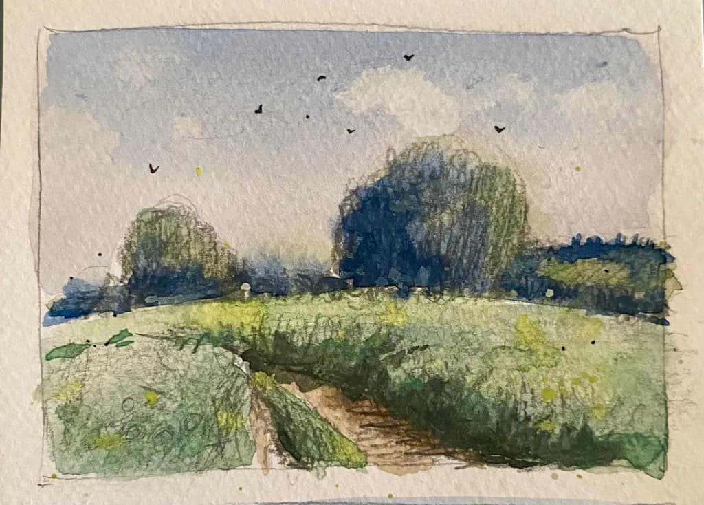 Meadow Pathway