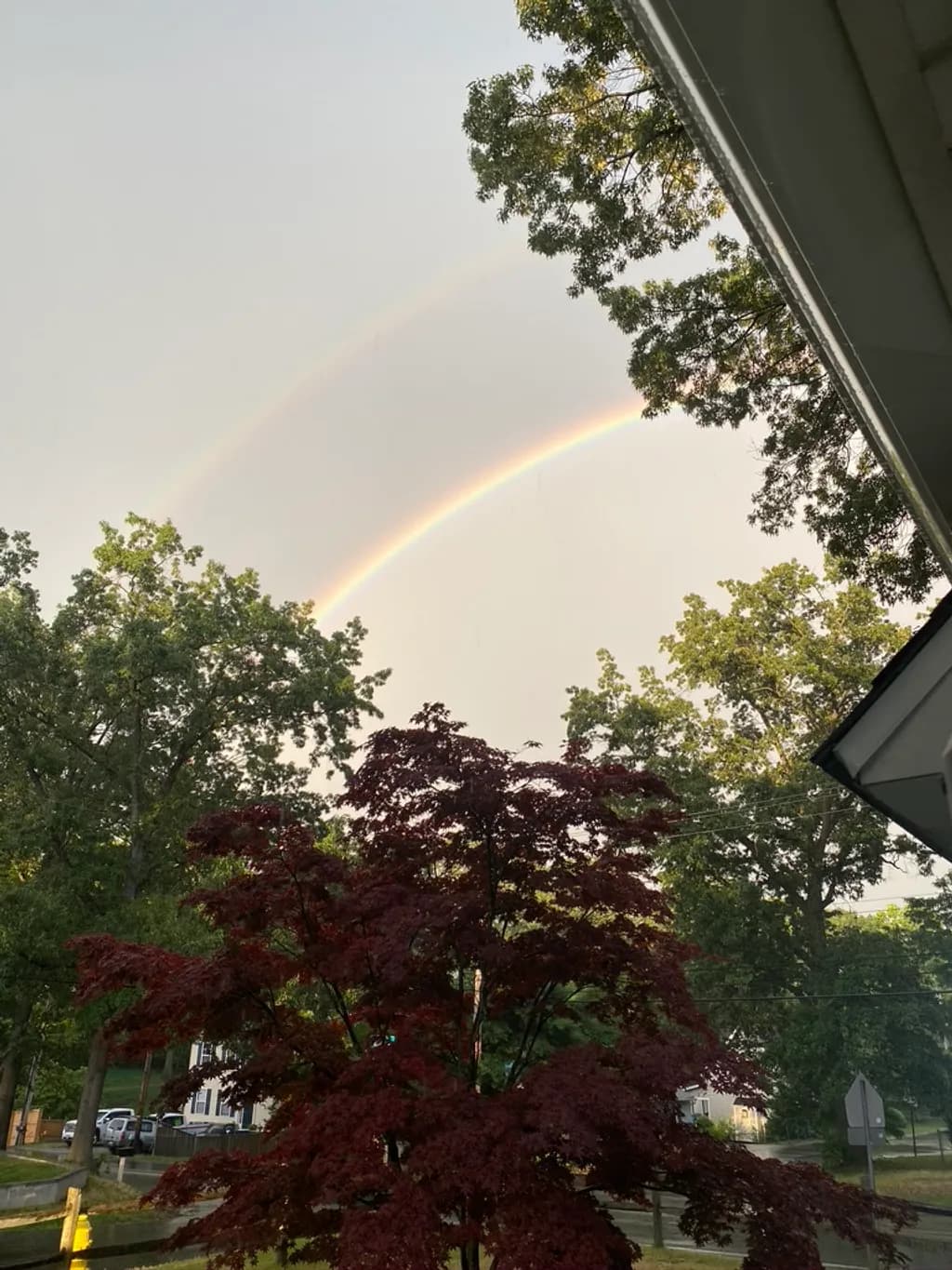 Double Arc Reflection