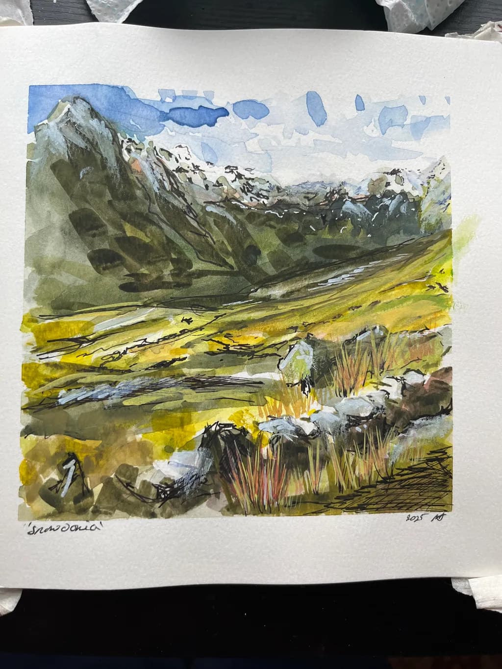 Snowdonia Landscape