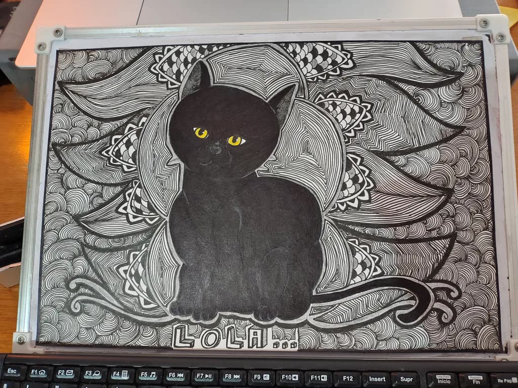 Lola the Cat