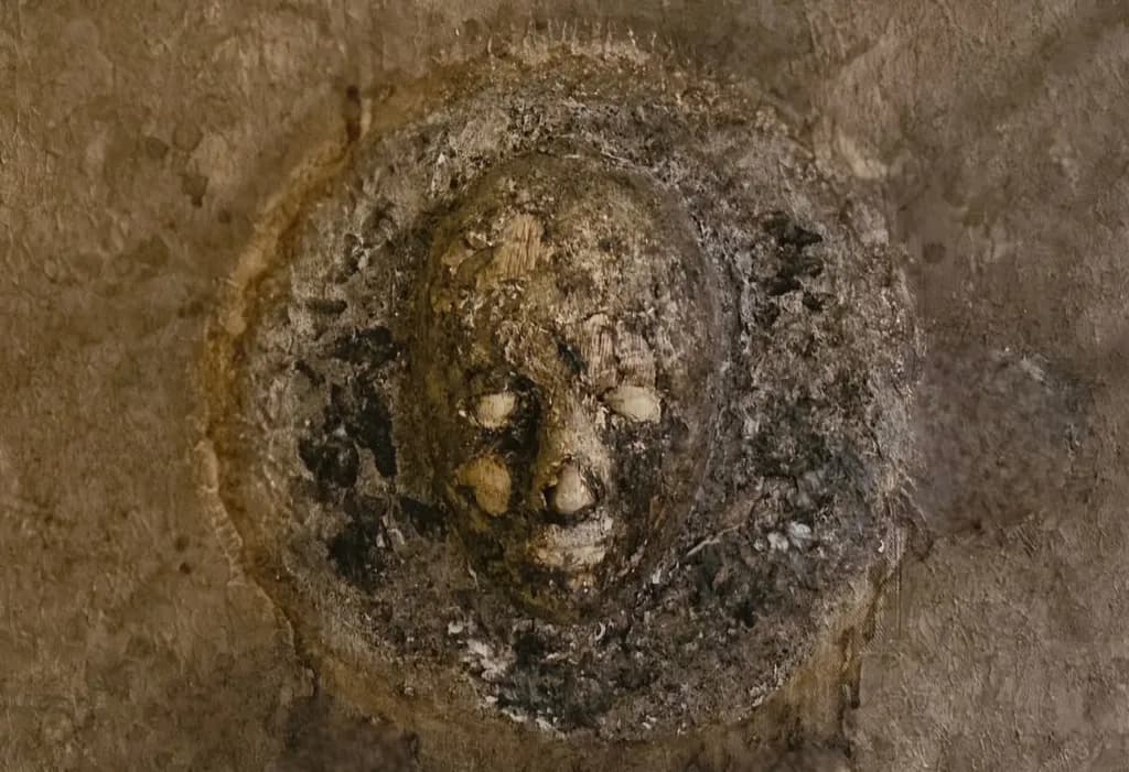 Fossilized Visage