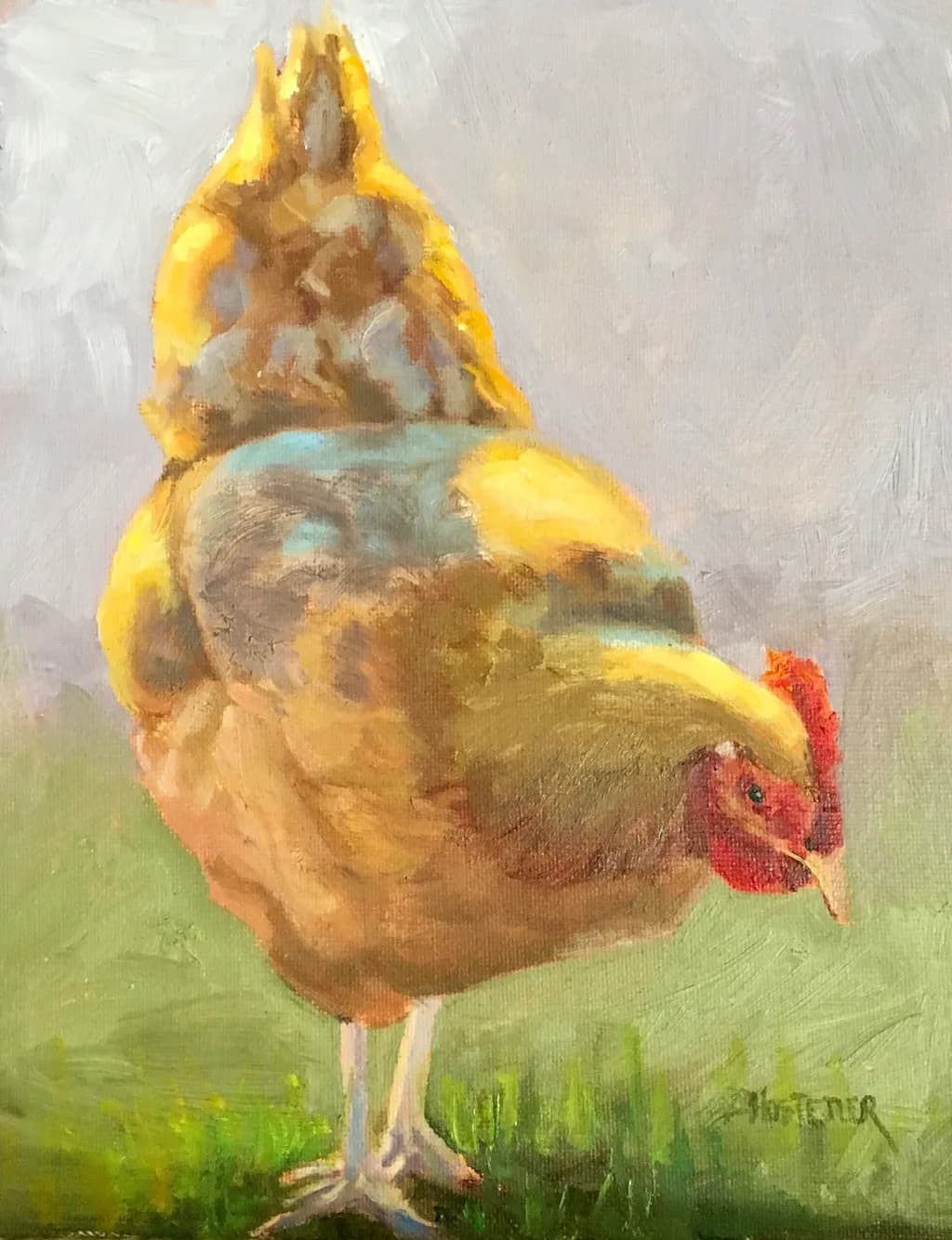 Colorful Chicken