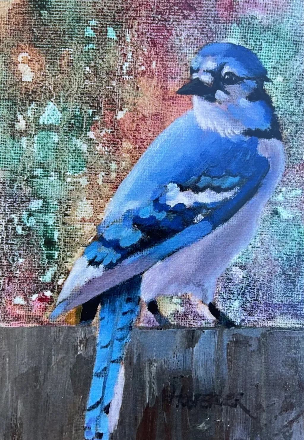 Blue Jay Portrait