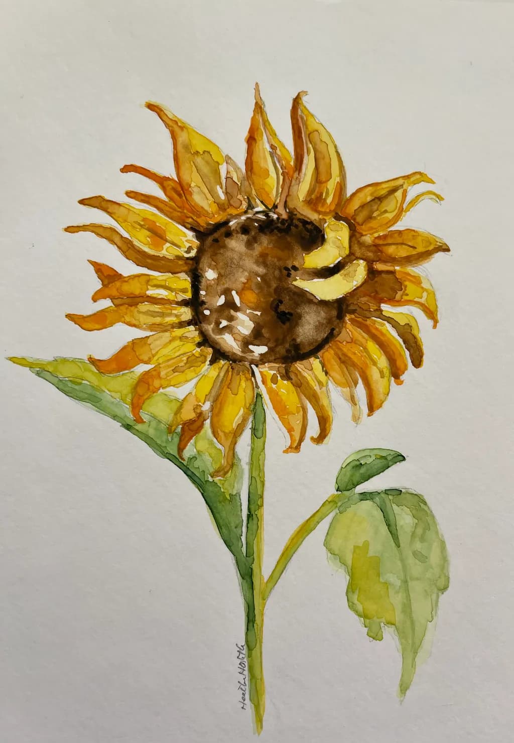 Sunflower Radiance