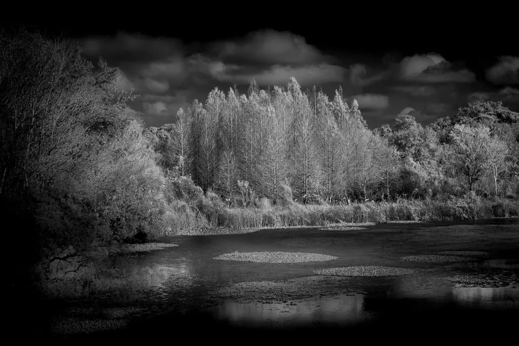 Reflections in Monochrome