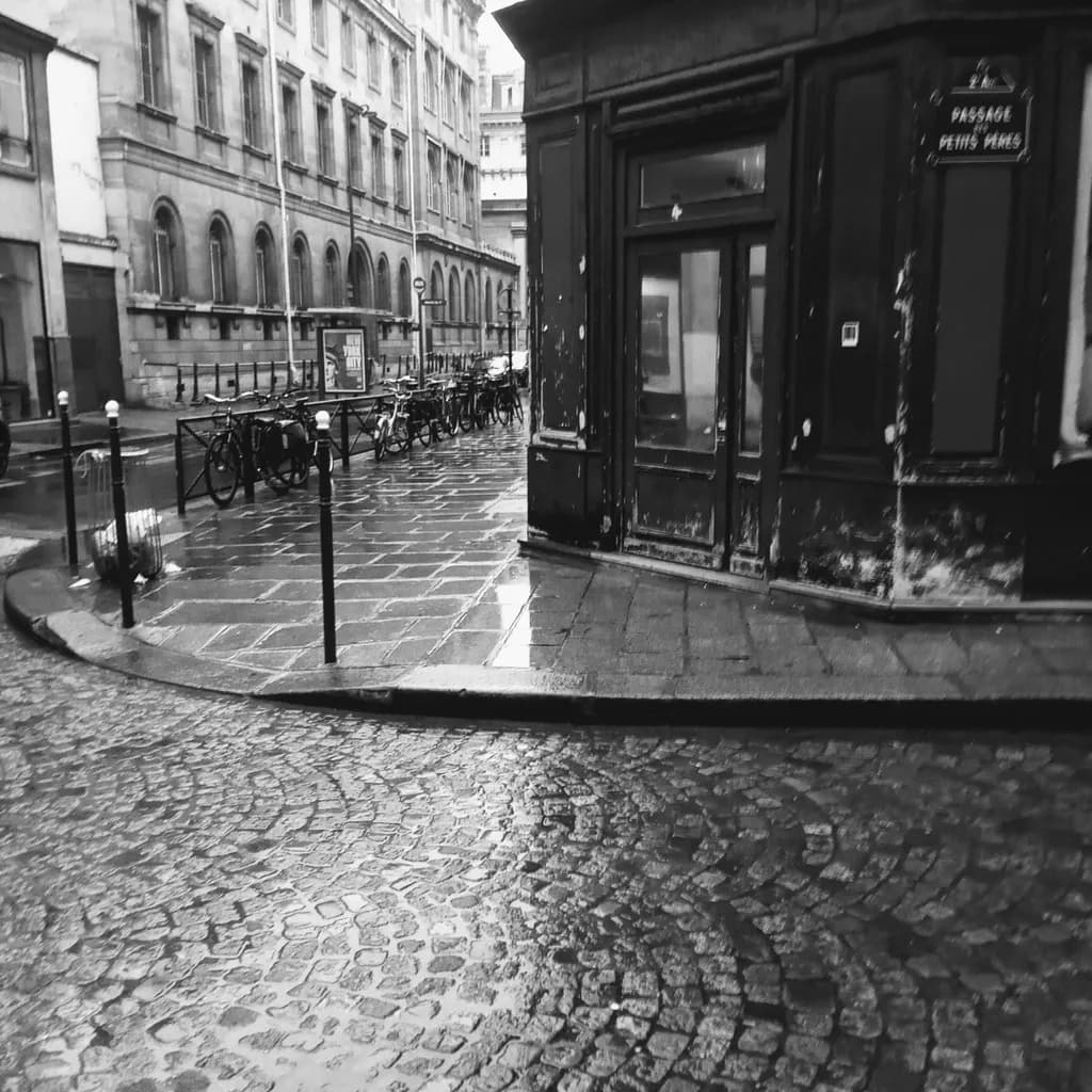 Wet Cobblestone Corner