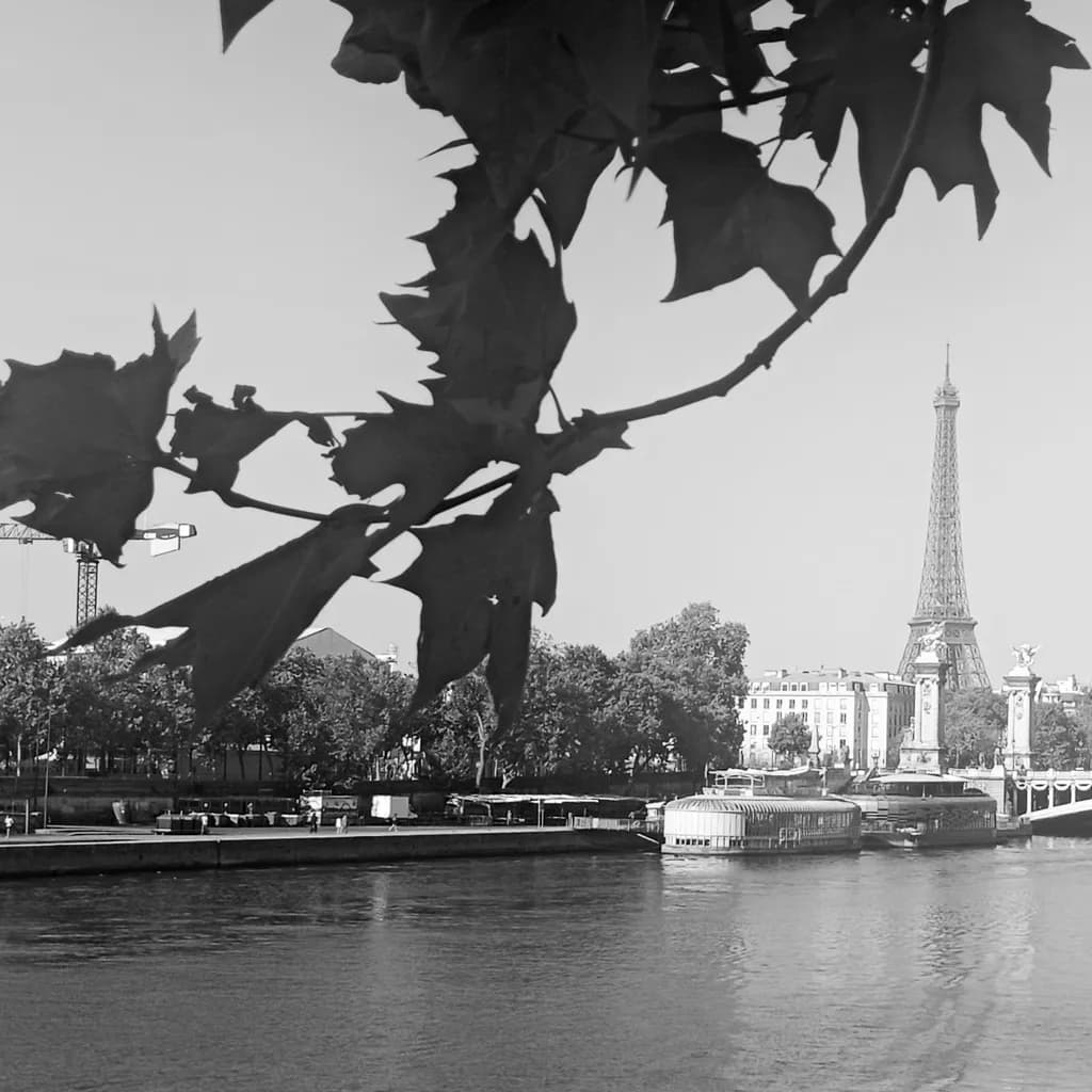 Seine Reflection with Eiffel