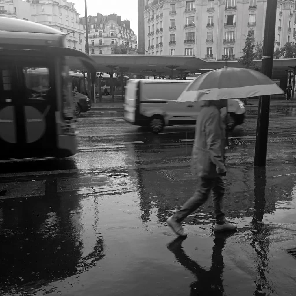Echoes in Rain