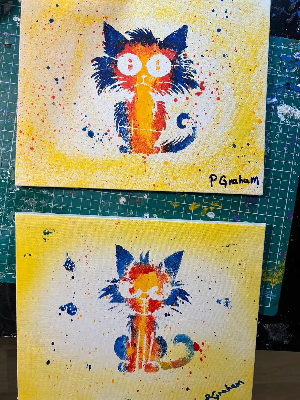 Playful Cat Splash