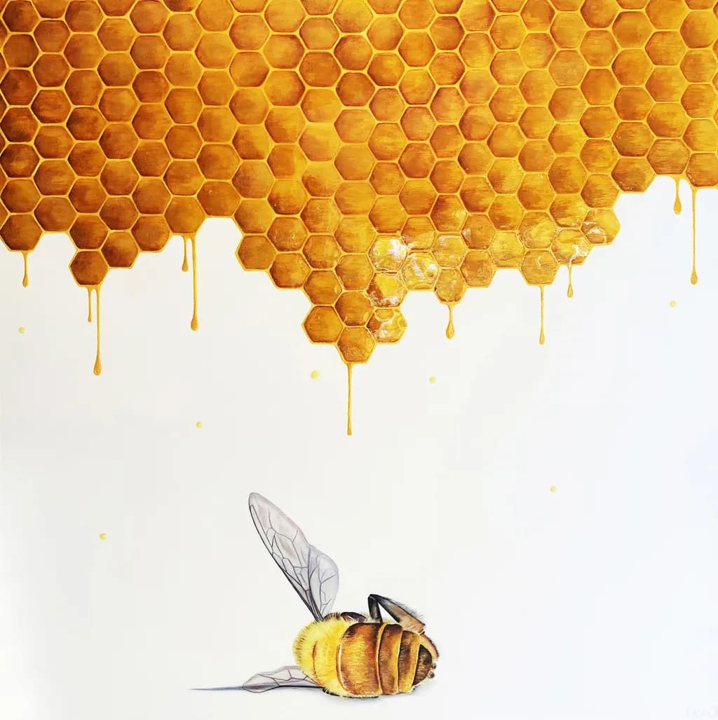 Honeycomb Harmony