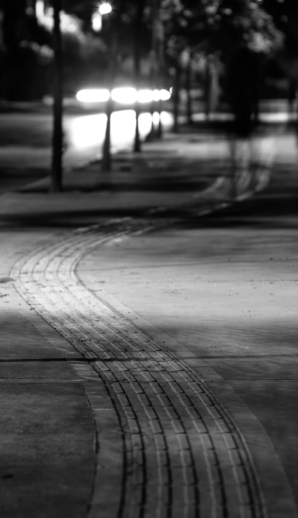Night Stroll