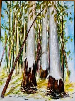 Eucalyptus Bamboo Grove
