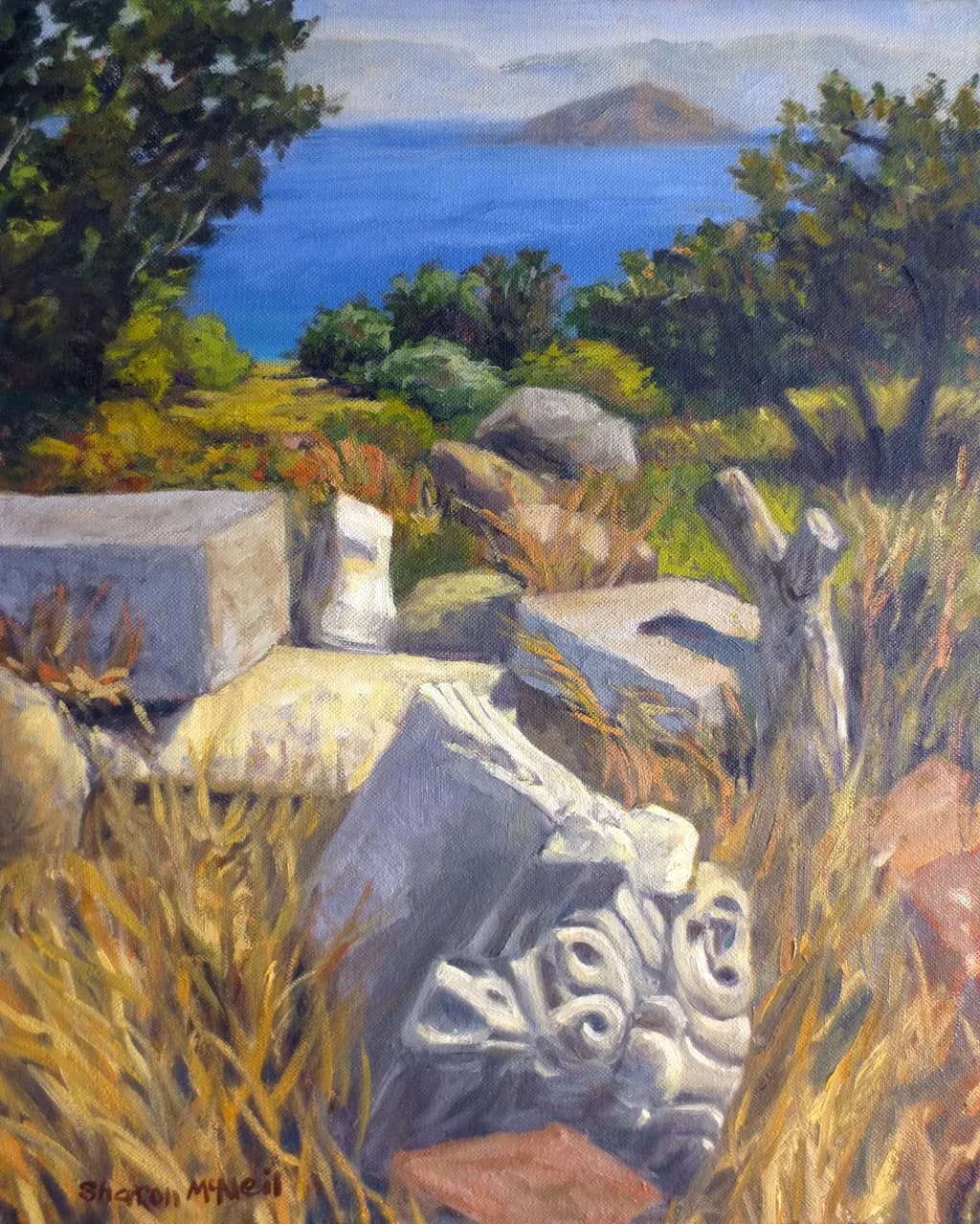 Remnants from Paleocastro