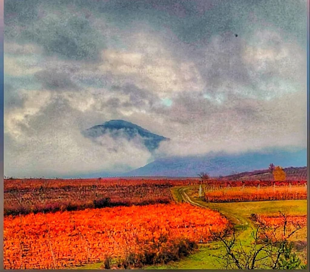 Autumn Veil