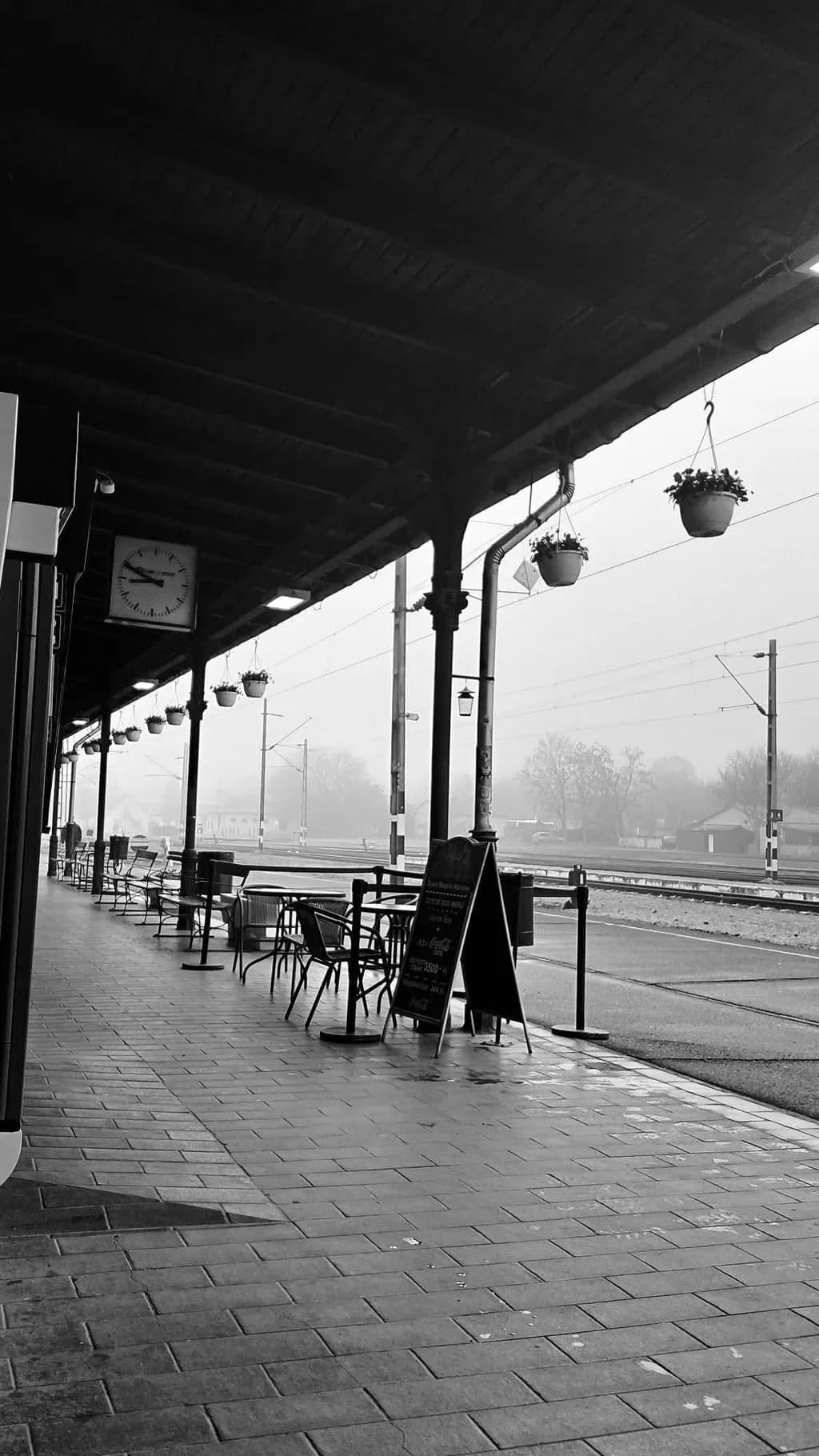 Foggy Station Solitude